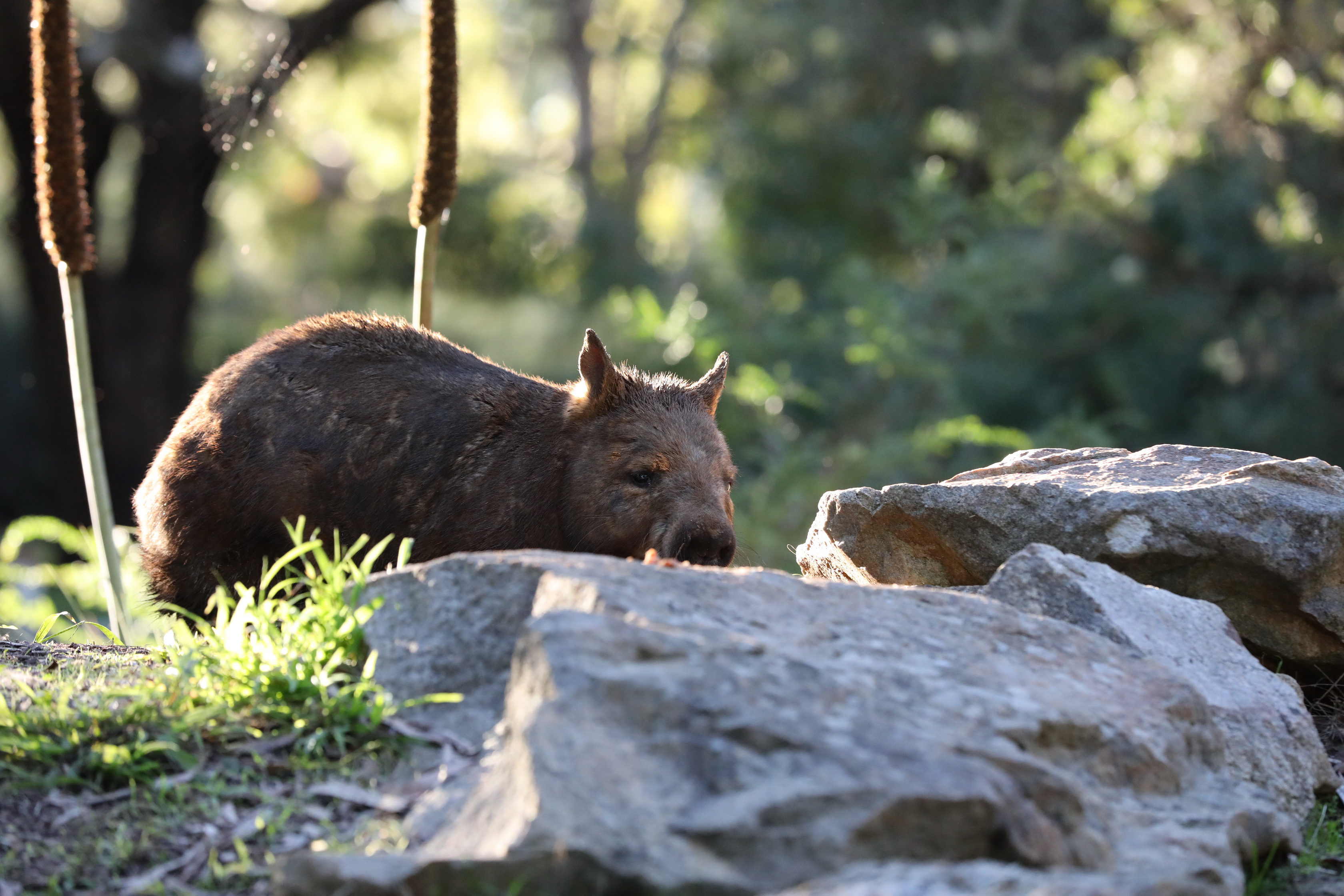 2019 07 19 16 09 52 Canon EOS 5D Mark IV 0054